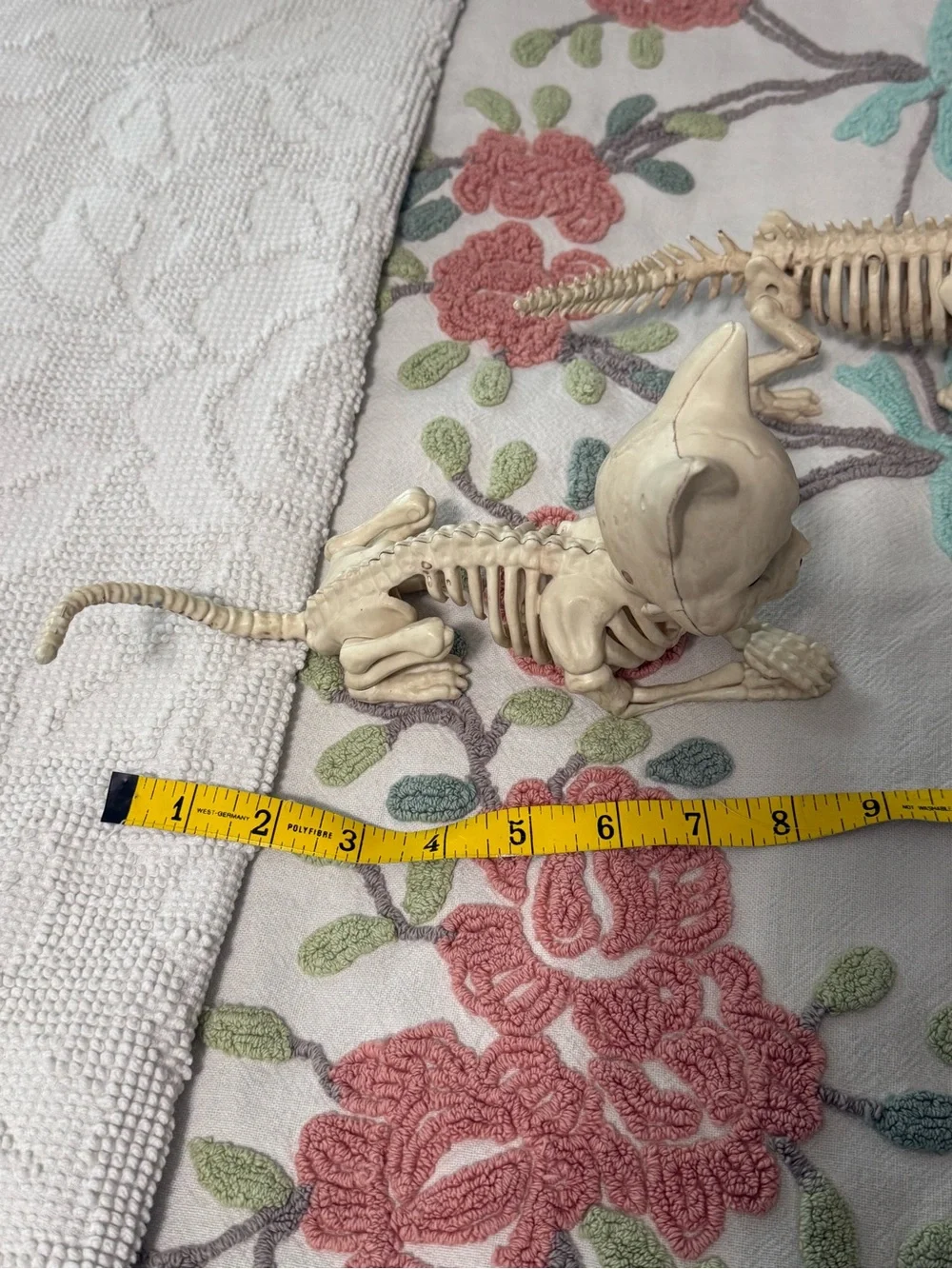 Halloween Skeleton Figurine Set Cat Unicorn Triceratops Bone Color Decor 3pc